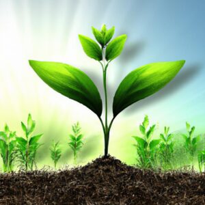 Transforme Sua Casa com Plantas Fáceis de Cuidar!